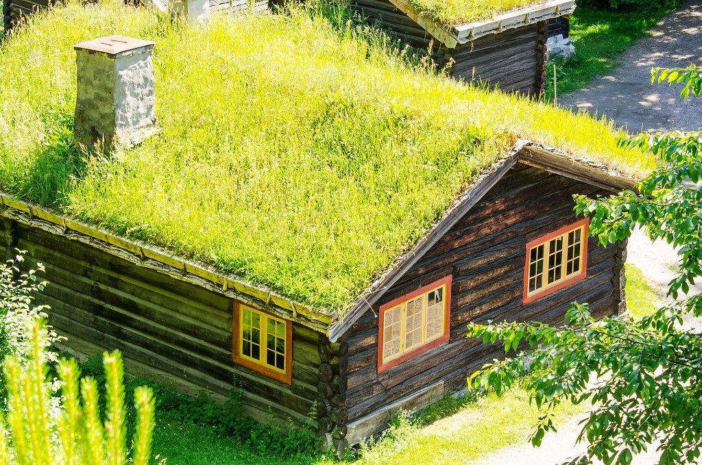 Country home with grass roof