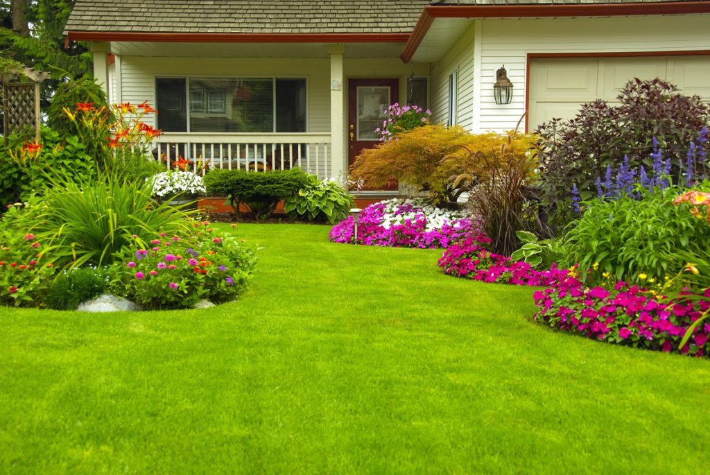 Manicured lawn of house