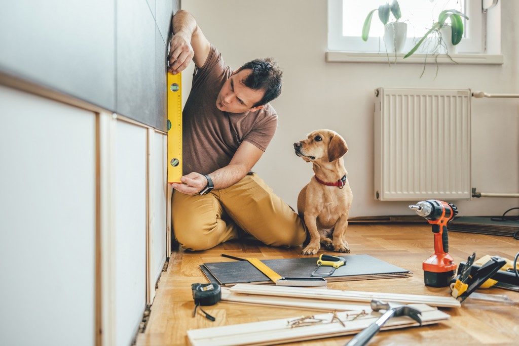 man renovating a house with a dog beside him
