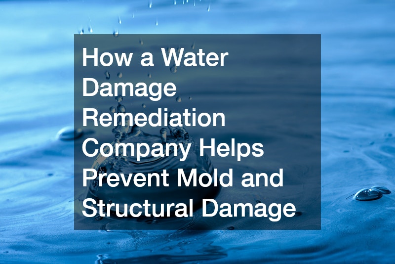 How a Water Damage Remediation Company Helps Prevent Mold and Structural Damage