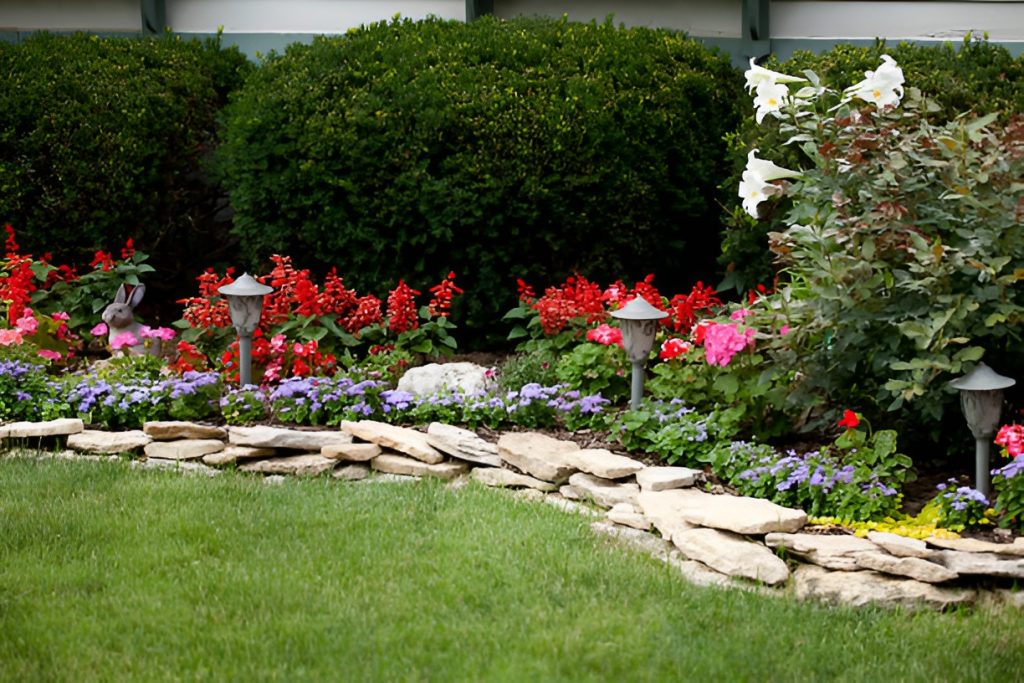 rock garden with colorful flowers