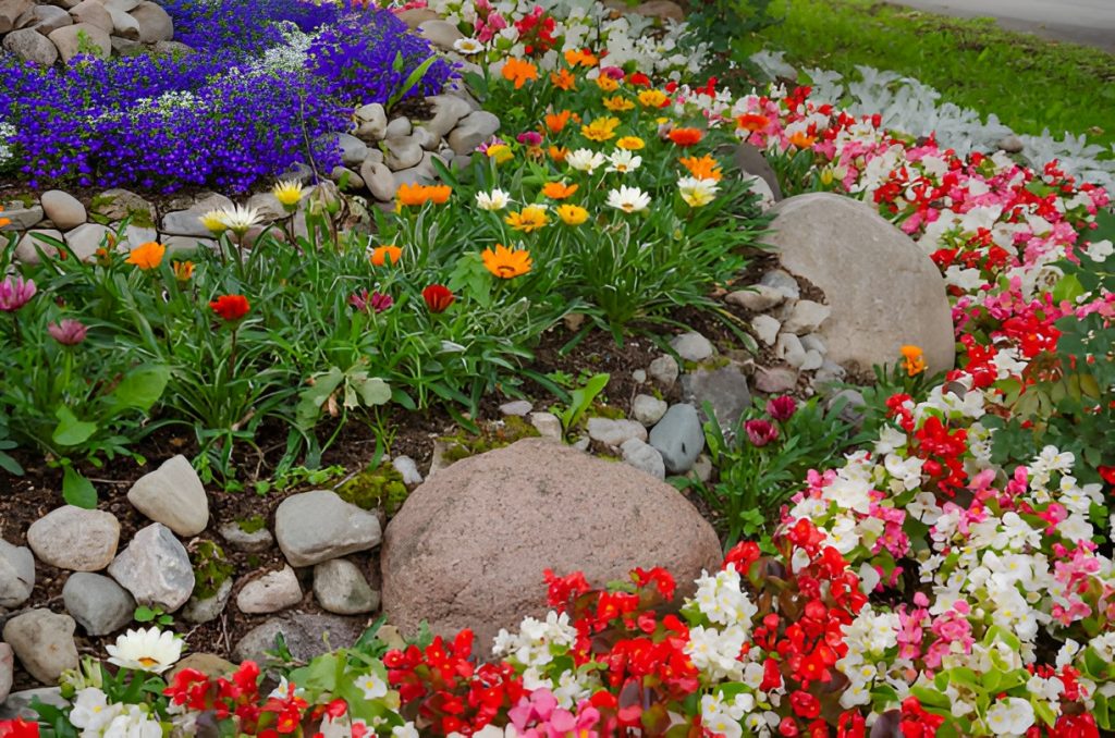 colorful flowers in a rock garden